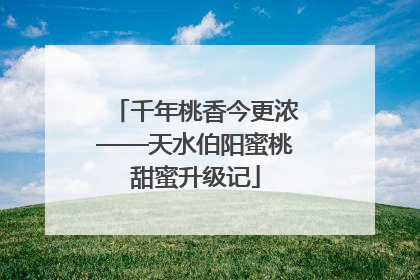 千年桃香今更浓——天水伯阳蜜桃甜蜜升级记