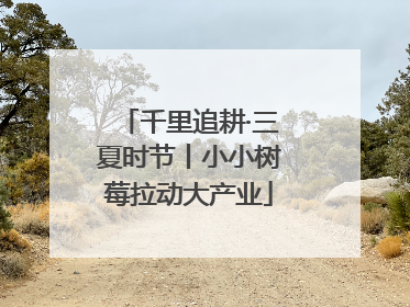 千里追耕·三夏时节丨小小树莓拉动大产业