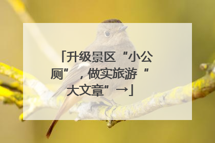 升级景区“小公厕”，做实旅游“大文章”→