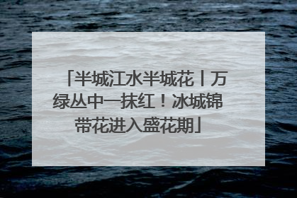 半城江水半城花丨万绿丛中一抹红！冰城锦带花进入盛花期