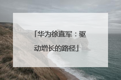 华为徐直军：驱动增长的路径