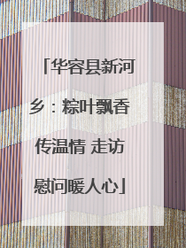 华容县新河乡：粽叶飘香传温情 走访慰问暖人心