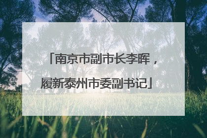 南京市副市长李晖，履新泰州市委副书记