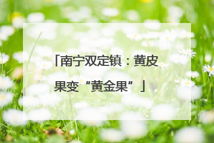 南宁双定镇：黄皮果变“黄金果”