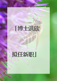 博士洪欣拟任新职