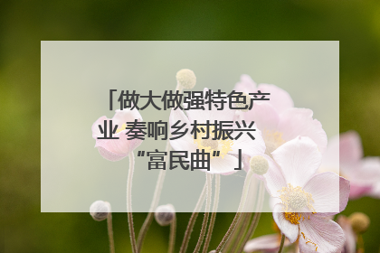 做大做强特色产业 奏响乡村振兴“富民曲”