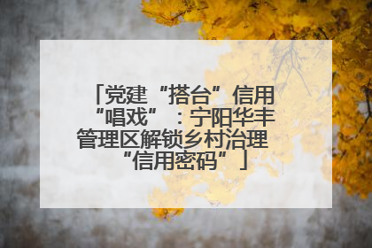 党建“搭台”信用“唱戏”:宁阳华丰管理区解锁乡村治理“信用密码”