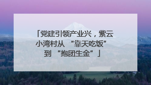 党建引领产业兴，紫云小湾村从 “靠天吃饭” 到 “抱团生金”