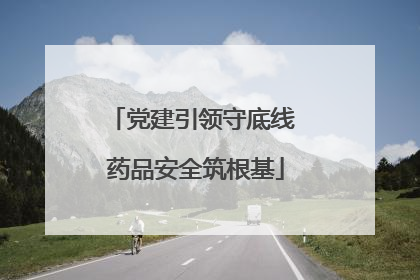 党建引领守底线 药品安全筑根基