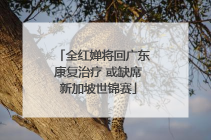 全红婵将回广东康复治疗 或缺席新加坡世锦赛