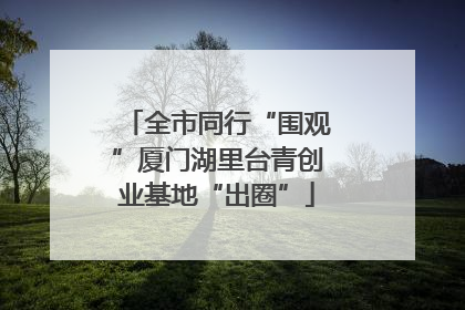 全市同行“围观”厦门湖里台青创业基地“出圈”
