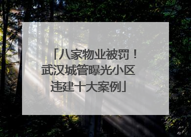 八家物业被罚！武汉城管曝光小区违建十大案例