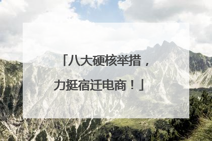 八大硬核举措，力挺宿迁电商！