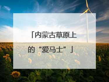 内蒙古草原上的“爱马士”