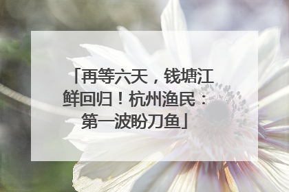 再等六天，钱塘江鲜回归！杭州渔民：第一波盼刀鱼