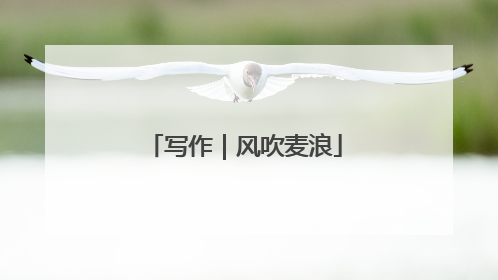 写作｜风吹麦浪
