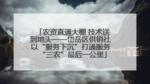 农资直通大棚 技术送到地头——岱岳区供销社以“服务下沉”打通服务“三农”最后一公里