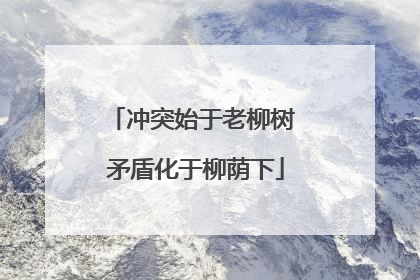 冲突始于老柳树 矛盾化于柳荫下