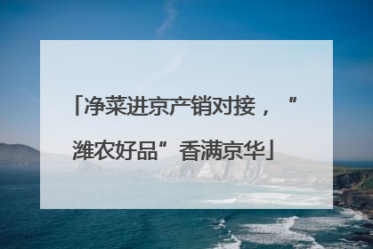 净菜进京产销对接，“潍农好品”香满京华