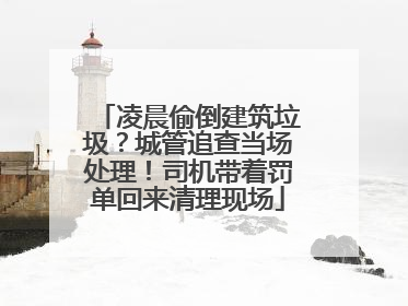 凌晨偷倒建筑垃圾？城管追查当场处理！司机带着罚单回来清理现场