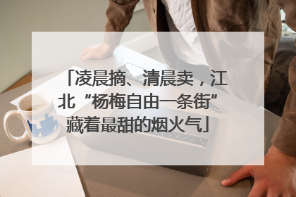 凌晨摘、清晨卖，江北“杨梅自由一条街”藏着最甜的烟火气