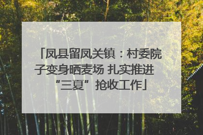 凤县留凤关镇：村委院子变身晒麦场 扎实推进“三夏”抢收工作