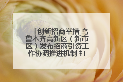 创新招商举措 乌鲁木齐高新区（新市区）发布招商引资工作协调推进机制 打造投资发展新高地