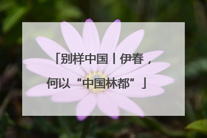 别样中国丨伊春，何以“中国林都”