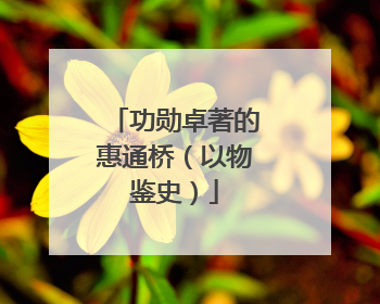 功勋卓著的惠通桥（以物鉴史）