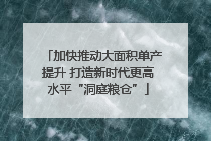 加快推动大面积单产提升 打造新时代更高水平“洞庭粮仓”