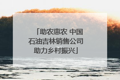 助农惠农 中国石油吉林销售公司助力乡村振兴