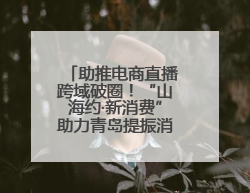 助推电商直播跨域破圈！“山海约·新消费”助力青岛提振消费活动启动