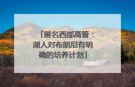 匿名西部高管：湖人对布朗尼有明确的培养计划
