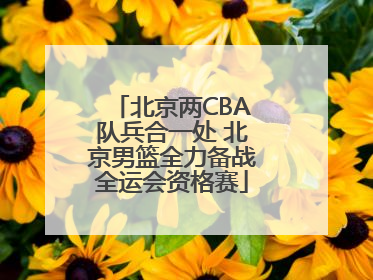 北京两CBA队兵合一处 北京男篮全力备战全运会资格赛