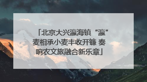 北京大兴瀛海镇“瀛”麦相承小麦丰收开镰 奏响农文旅融合新乐章