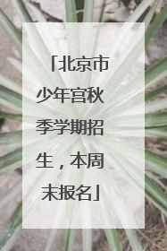 北京市少年宫秋季学期招生，本周末报名