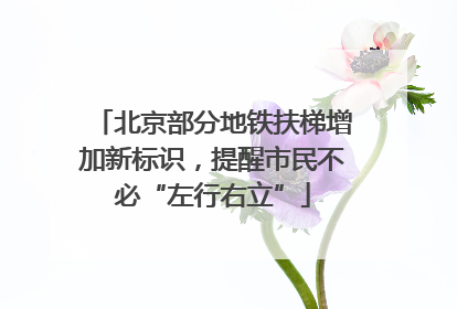 北京部分地铁扶梯增加新标识，提醒市民不必“左行右立”