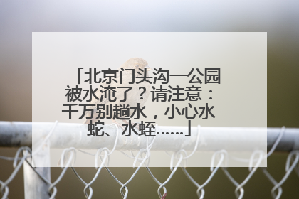 北京门头沟一公园被水淹了？请注意：千万别趟水，小心水蛇、水蛭……