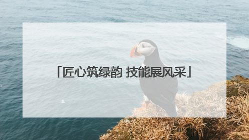 匠心筑绿韵 技能展风采