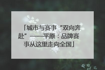 城市与赛事“双向奔赴”——平原：品牌赛事从这里走向全国