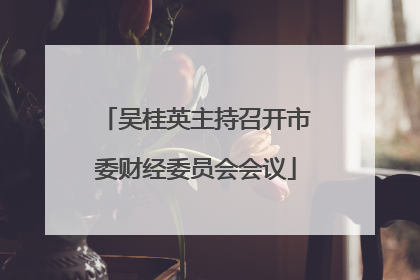 吴桂英主持召开市委财经委员会会议