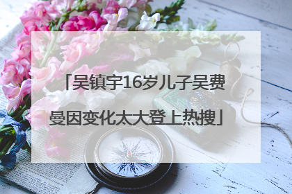 吴镇宇16岁儿子吴费曼因变化太大登上热搜