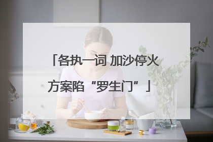 各执一词 加沙停火方案陷“罗生门”
