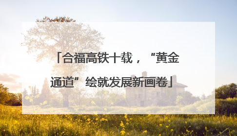 合福高铁十载，“黄金通道”绘就发展新画卷