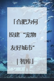 合肥为何投建“宠物友好城市”｜智库