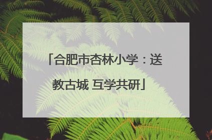 合肥市杏林小学：送教古城 互学共研
