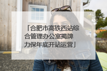 合肥市高铁西站综合管理办公室揭牌 力保年底开站运营