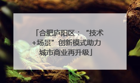 合肥庐阳区：“技术+场景”创新模式助力城市商业再升级