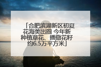 合肥滨湖新区初夏花海美出圈 今年新种植草花、播撒花籽约6.5万平方米