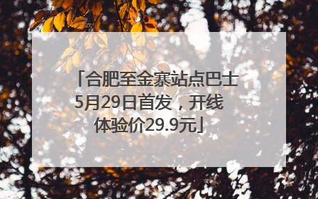 合肥至金寨站点巴士5月29日首发，开线体验价29.9元